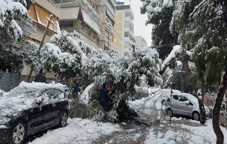 Σταύρος Τζουλάκης: «Θερμό ευχαριστώ στην Πυροσβεστική Καλλιθέας»