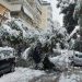 Σταύρος Τζουλάκης: «Θερμό ευχαριστώ στην Πυροσβεστική Καλλιθέας»