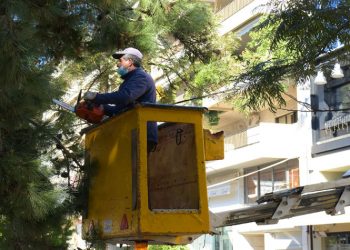 Επιχείρηση «Πράσινο στην Πόλη» για εξωραϊσμό και ασφάλεια