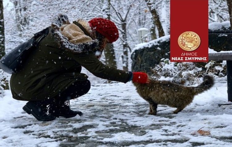 Σε εγρήγορση η Επιτροπή Αδέσποτων Ζώων ενόψει της κακοκαιρίας