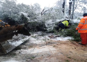 Καλό το φιλότιμο, αλλά χρειάζονται οργάνωση και μέσα