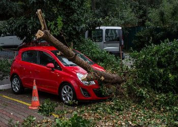 Έριδες για τα δέντρα «θύματα» της «Μήδειας» και το ασφαλιστήριο κατά ζημιών