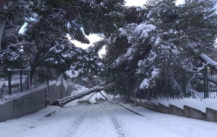 «Κυβέρνηση, Περιφέρεια και Δήμος άφησαν τους πολίτες στο έλεος της κακοκαιρίας»