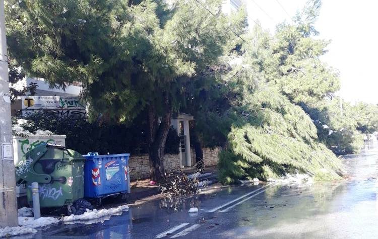 Δήμος Αγίας Παρασκευής: «Πράττουμε το ανθρωπίνως δυνατό για τα καιρικά προβλήματα»