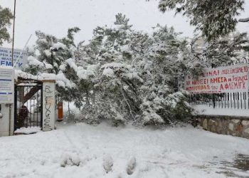 Την εξαφάνιση των συνθημάτων τους έξω από την πτέρυγα «Μπόμπολα» καταγγέλλουν οι εργαζόμενοι του «Α. Φλέμινγκ»