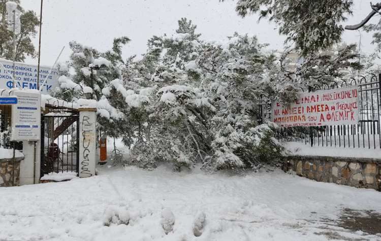 Την εξαφάνιση των συνθημάτων τους έξω από την πτέρυγα «Μπόμπολα» καταγγέλλουν οι εργαζόμενοι του «Α. Φλέμινγκ»