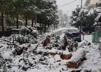 Ν. Μπαρμπούνης: «Η “Μήδεια” έφερε πανικό στη διοίκηση του Δήμου»