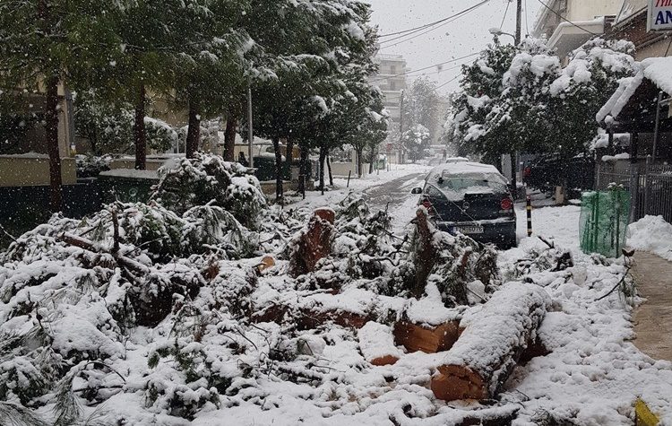 Ν. Μπαρμπούνης: «Η “Μήδεια” έφερε πανικό στη διοίκηση του Δήμου»