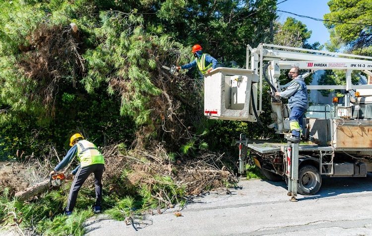 Δήμος Κηφισιάς: «Με σχεδιασμό η απομάκρυνση των πεσμένων δέντρων»