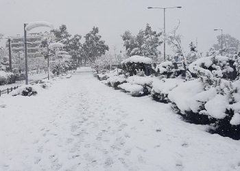 #ΕΝΩΜΕΝΟ ΜΑΡΟΥΣΙ: «Η “Μήδεια” βρήκε απροετοίμαστη τη διοίκηση του Δήμου»