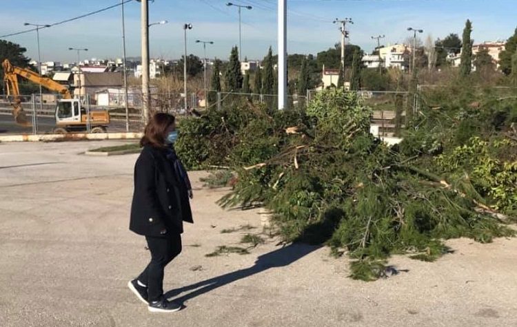 Στον χώρο του ΟΑΚΑ τα σπασμένα κλαδιά και κορμοί του Βορείου Τομέα