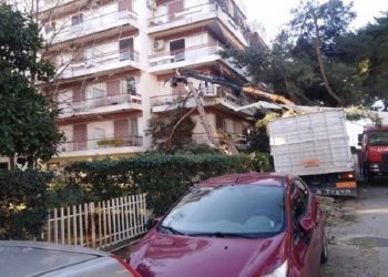 Δήμος Κηφισιάς: «Συνεχίζεται η μάχη για την αντιμετώπιση των συνεπειών της κακοκαιρίας»