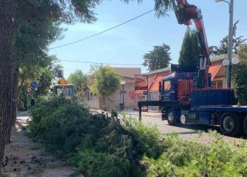 Ενημέρωση για τις ενέργειες πριν, κατά τη διάρκεια και την επόμενη ημέρα της κακοκαιρίας