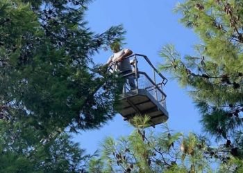 Ενημέρωση για τις ενέργειες πριν, κατά τη διάρκεια και την επόμενη ημέρα της κακοκαιρίας