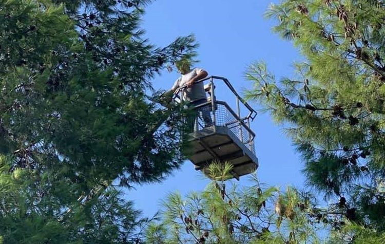 Ενημέρωση για τις ενέργειες πριν, κατά τη διάρκεια και την επόμενη ημέρα της κακοκαιρίας