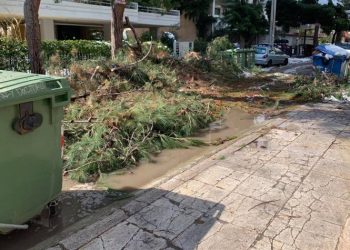 «Σπριντ» από τον Δήμο για τα σπασμένα κλαδιά και συστάσεις στους κατοίκους
