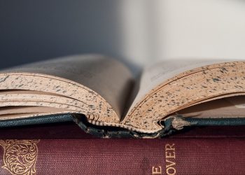 Μια χαραμάδα γέλιου