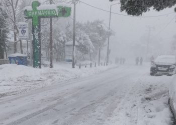 «Η δημοτική Αρχή φάνηκε ανέτοιμη να αντιμετωπίσει ένα φυσικό φαινόμενο τέτοιας έντασης»