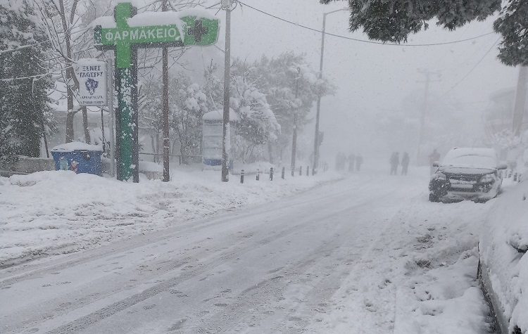 «Η δημοτική Αρχή φάνηκε ανέτοιμη να αντιμετωπίσει ένα φυσικό φαινόμενο τέτοιας έντασης»
