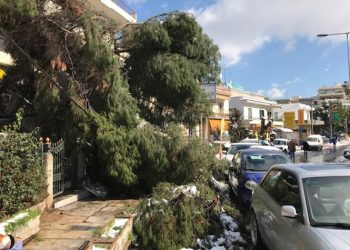 «Η διοίκηση είναι υπεύθυνη για το ξεχαρβάλωμα του Δήμου»