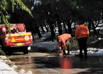 Δήμος Παπάγου-Χολαργού: «Αδιάκοπες οι προσπάθειες για την αποκατάσταση των προβλημάτων» (Βίντεο)