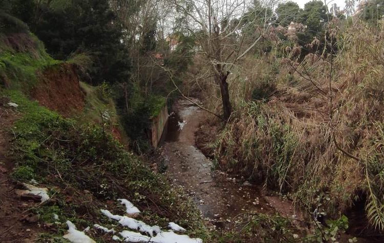 Κίνδυνος από την πτώση κλαδιών στη Ρεματιά - Έκκληση του Δήμου στους πολίτες