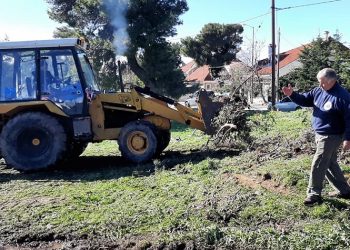 Στο μάζεμα των κλαριών συνδράμουν Περιφέρεια Αττικής και εθελοντές του ΣΠΑΠ
