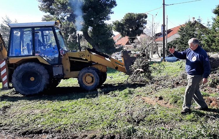 Στο μάζεμα των κλαριών συνδράμουν Περιφέρεια Αττικής και εθελοντές του ΣΠΑΠ