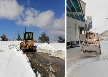 «Μήδεια»: Απολογισμός έργου στον Δήμο Μαραθώνος