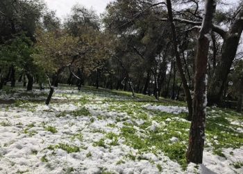 Γ. Θεοδωρακόπουλος: «Μόνο στον Δήμο μας δεν διαθέτουν ούτε… αλάτι στους κατοίκους»