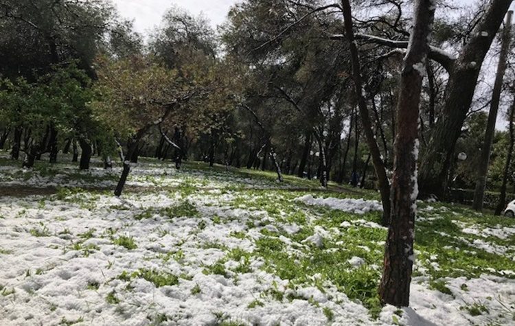 Γ. Θεοδωρακόπουλος: «Μόνο στον Δήμο μας δεν διαθέτουν ούτε… αλάτι στους κατοίκους»