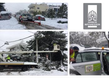 Ξ. Μανιατογιάννης: «Καταλογισμός ευθυνών σε βάρος του ΔΕΔΔΗΕ για την υλική και ηθική ζημία»