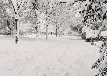 Τα παιδιά της «Μήδειας»