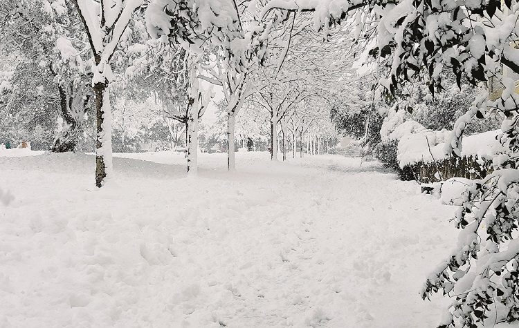 Τα παιδιά της «Μήδειας»