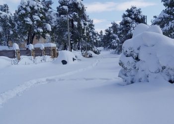 Eπείγουσα έκκληση του Δήμου για ερπυστριοφόρα στην Ιπποκράτειο Πολιτεία