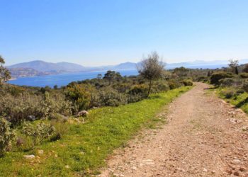 Μήλον της έριδος οι δασικές εκτάσεις της Βουλιαγμένης