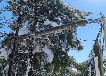 Απολογισμός «Μήδειας»: «Αναλαμβάνουμε τις ευθύνες που μας αναλογούν - Επανασχεδιάζουμε τη λειτουργία μας»