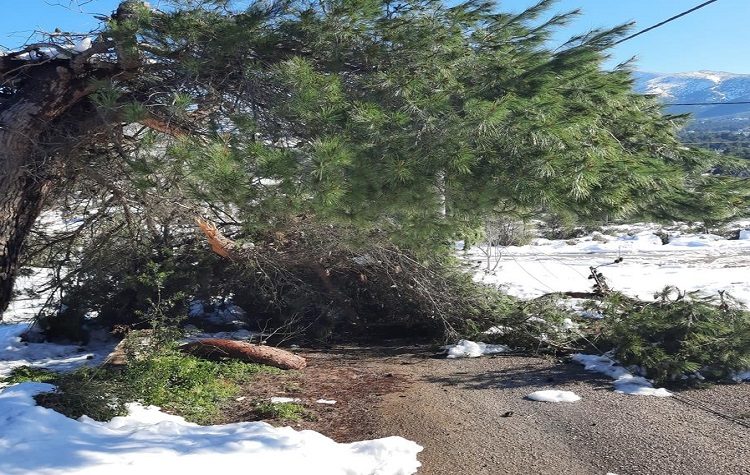 Απολογισμός «Μήδειας»: «Αναλαμβάνουμε τις ευθύνες που μας αναλογούν - Επανασχεδιάζουμε τη λειτουργία μας»