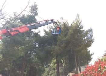 «Σας θέλουμε συμμάχους στη μεγάλη προσπάθεια αποκατάστασης της φυσικής καταστροφής»