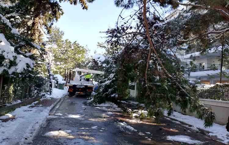 Ο απολογισμός της κακοκαιρίας και ο επιμερισμός των ευθυνών επί τάπητος στο Δημοτικό Συμβούλιο