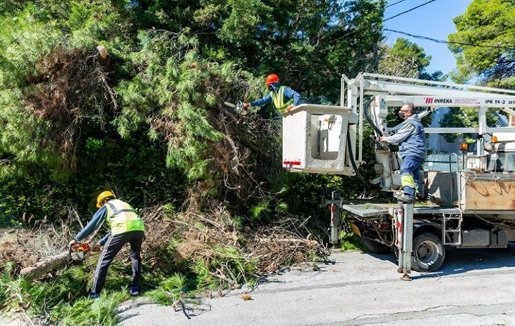 Έκκληση στους δημότες Κηφισιάς για τα κηπαία