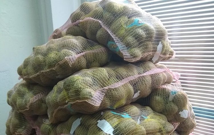 Διανομή τροφίμων με χρηματοδότηση από το Ταμείο Ευρωπαϊκής Βοήθειας για τους Απόρους