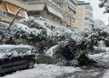 Απολογισμός της «Μήδειας»: 40 κατεστραμμένα δέντρα και 100 σπασμένοι βραχίονες