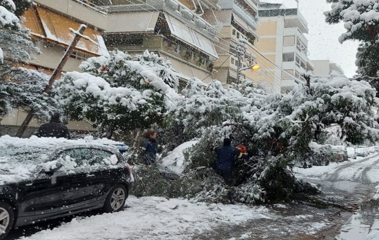 Απολογισμός της «Μήδειας»: 40 κατεστραμμένα δέντρα και 100 σπασμένοι βραχίονες
