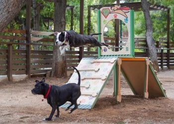 Πρότυπο πάρκο σκύλων στον Δήμο Ελληνικού Αργυρούπολης