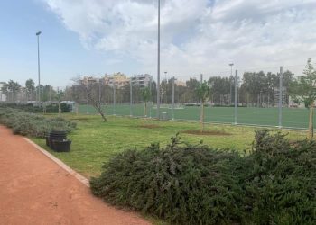 Εξωραϊσμός πρασίνου στο Δημοτικό Κολυμβητήριο