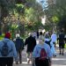 «Πράσινη» χρηματοδότηση για την ανάπλαση του άλσους
