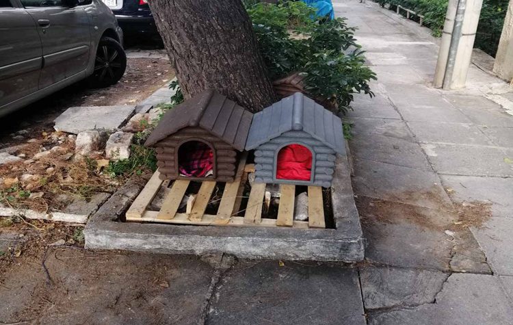 Την κλοπή γατόσπιτων καταγγέλλει ο Δήμος στην Αστυνομία