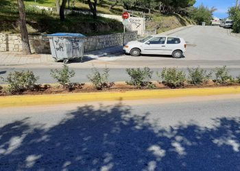 Πρασίνισε με 1.120 θάμνους η νησίδα Κυθηρίων