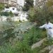 Ξεκίνησαν οι ψεκασμοί για τα κουνούπια ενόψει καλοκαιριού